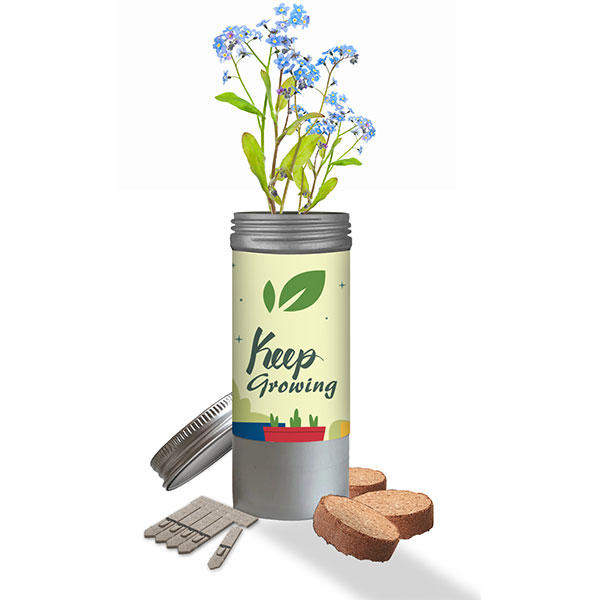  Desktop Tube Garden