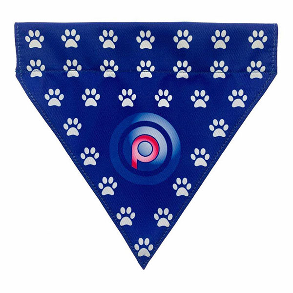  Dog Bandana