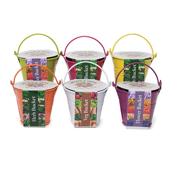  Coloured Mini Bucket Grow ..